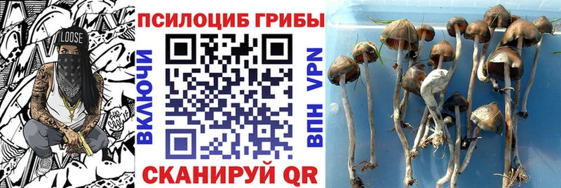 Псилоцибиновые грибы мухоморы  Великий Новгород 